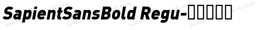 SapientSansBold Regu字体转换
